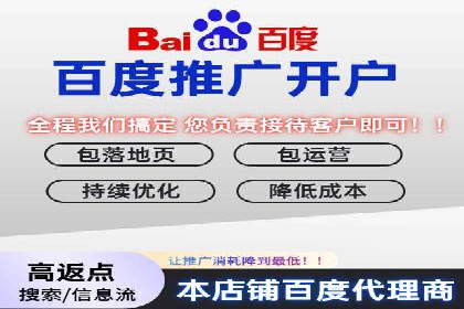 成功SEM推广代运营案例展示